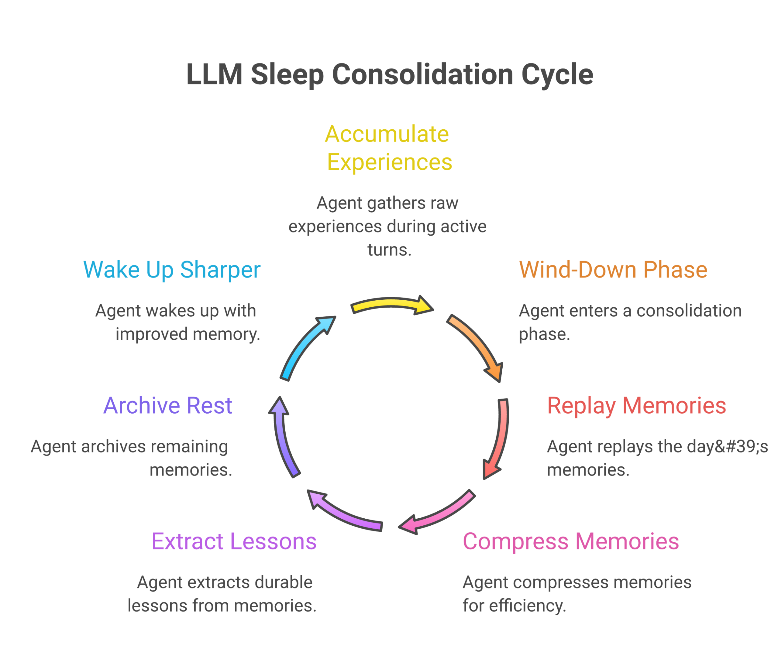 Sleep Consolidation: How Nightly Prompting Makes a Stateless Agent Get Better Over Time